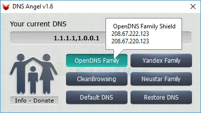 DNS Angel Скріншот 2