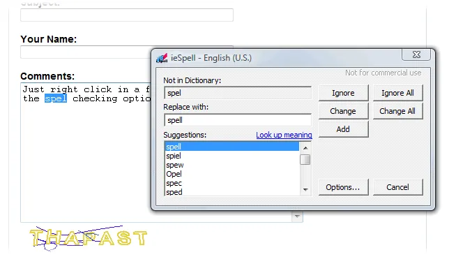 ieSpell Скріншот 2