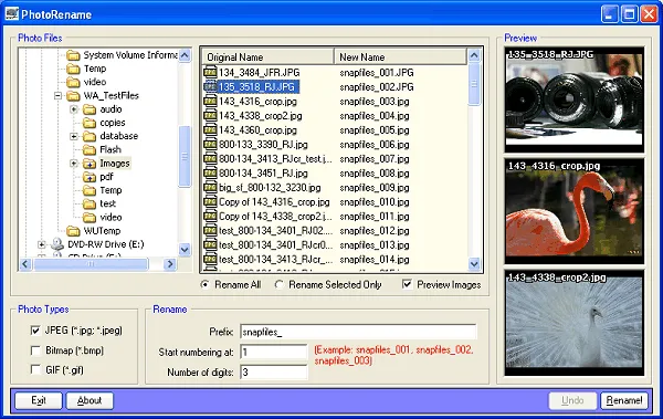 Pennock`s Photo Renamer Скріншот 1